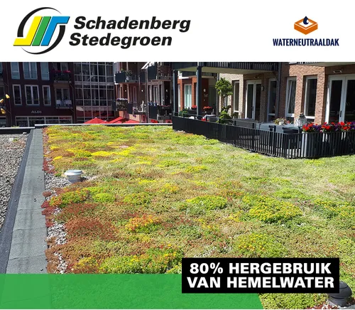 schadenberg-stedegroen-waterneutraaldak